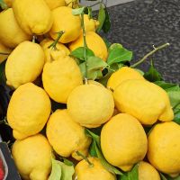 Capri: Rundgang mit Katia &ndash; &copy; Inge Bily (Eberhardt TRAVEL)