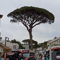Anacapri: Rundgang &ndash; &copy; Inge Bily (Eberhardt TRAVEL)
