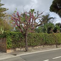 Sorrent: Rundgang &ndash; &copy; Inge Bily (Eberhardt TRAVEL)