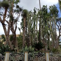 Sorrent: Rundgang &ndash; &copy; Inge Bily (Eberhardt TRAVEL)