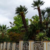 Sorrent: Rundgang &ndash; &copy; Inge Bily (Eberhardt TRAVEL)