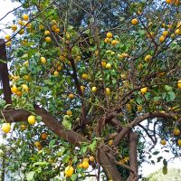 Auf dem Bauernhof &ndash; &copy; Inge Bily (Eberhardt TRAVEL)