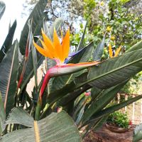 Auf dem Bauernhof &ndash; &copy; Inge Bily (Eberhardt TRAVEL)