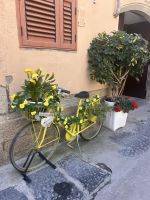 Tropea &ndash; &copy; Daniela Paulan (Eberhardt TRAVEL)