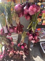 Die rote Zwiebel &ndash; &copy; Daniela Paulan (Eberhardt TRAVEL)