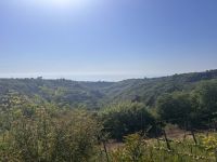 Ausblick  &ndash; &copy; Daniela Paulan (Eberhardt TRAVEL)