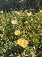 Insel Vulcano  &ndash; &copy; Daniela Paulan (Eberhardt TRAVEL)