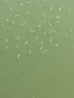 Angeln waren wir nicht &ndash; &copy; Mathias Schirmer (Eberhardt TRAVEL)