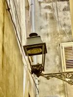 Nest &ndash; &copy; Mathias Schirmer (Eberhardt TRAVEL)