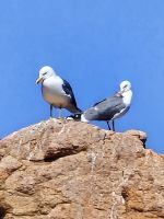 unter Beobachtung &ndash; &copy; Mathias Schirmer (Eberhardt TRAVEL)