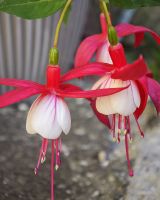 einfach schön &ndash; &copy; Mathias Schirmer (Eberhardt TRAVEL)