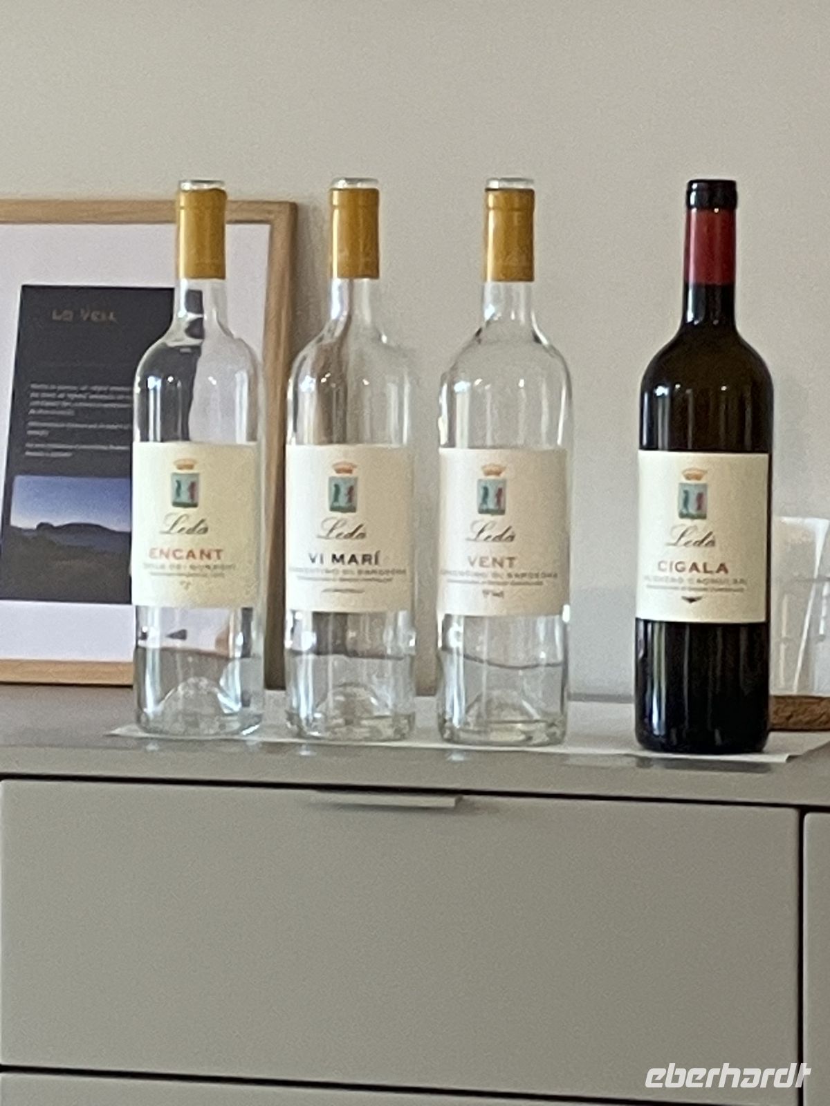 die vier waren es… &ndash; &copy;  (Eberhardt TRAVEL)