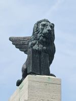 stolzer Löwe &ndash; &copy; Mathias Schirmer (Eberhardt TRAVEL)