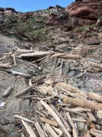 Strandgut &ndash; &copy; Mathias Schirmer (Eberhardt TRAVEL)