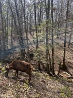 Wild in der Villa Vittoria &ndash; &copy; Daniela Paulan (Eberhardt TRAVEL)