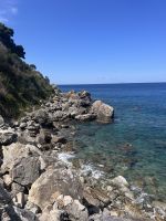 Scilla &ndash; &copy; Daniela Paulan (Eberhardt TRAVEL)