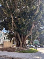 Reggio Calabria &ndash; &copy; Daniela Paulan (Eberhardt TRAVEL)