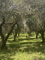 Ölmühle &ndash; &copy; Daniela Paulan (Eberhardt TRAVEL)