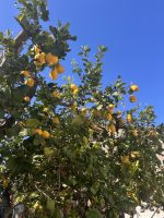 Typisch Italien &ndash; &copy; Daniela Paulan (Eberhardt TRAVEL)