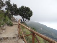 Weg der Götter, doch hin und wieder schon.  &ndash; &copy; Vivian Kreft (Eberhardt TRAVEL)