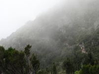 Der Weg der Götter hat an diesem Tag etwas Mystisches.  &ndash; &copy; Vivian Kreft (Eberhardt TRAVEL)