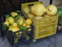 Positano, rechts die Sfumato Amalfitano, von der man alles essen kann.  &ndash; &copy; Vivian Kreft (Eberhardt TRAVEL)