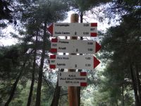 Hier geht man nicht verloren.  &ndash; &copy; Vivian Kreft (Eberhardt TRAVEL)