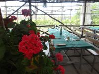 Cantina Fuocomorte, in dieser Kellerei 