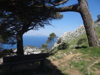 Capri, wir steigen auf den Monte Solaro. &ndash; &copy; Vivian Kreft (Eberhardt TRAVEL)