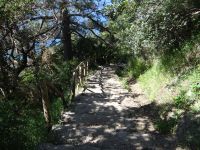 Maiori, ist das noch der Zitronenweg oder schon der Ameisenweg? &ndash; &copy; Vivian Kreft (Eberhardt TRAVEL)