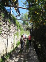 Der Ameisenweg führt entlang von Zitronenhainen.  &ndash; &copy; Vivian Kreft (Eberhardt TRAVEL)