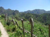 Ameisenweg, man könnte sich auch in den Alpen wähnen.  &ndash; &copy; Vivian Kreft (Eberhardt TRAVEL)
