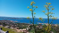 Costa Smeralda &ndash; &copy; Allina Anderer (Eberhardt TRAVEL)