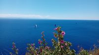 Blick auf Sardinien &ndash; &copy; Allina Anderer (Eberhardt TRAVEL)