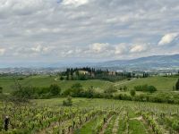 2. Tag: Weinverkostung auf einem Bauernhof bei Empoli &ndash; &copy; Andreas Wolfsteller (Eberhardt TRAVEL)