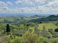 4. Tag: Stadtführung in San Gimignano – Toskana-Panorama &ndash; &copy; Andreas Wolfsteller (Eberhardt TRAVEL)