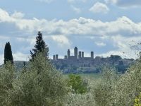 4. Tag: Mittagessen auf einem Safran-Bauernhof – Blick zur Skyline von San Gimignano &ndash; &copy; Andreas Wolfsteller (Eberhardt TRAVEL)