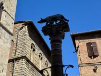 4. Tag: Stadtführung in Siena – Römische Wölfin &ndash; &copy; Andreas Wolfsteller (Eberhardt TRAVEL)