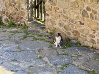 7. Tag: Spaziergang durch Castiglione della Pescaia – Historischer Ortskern &ndash; &copy; Andreas Wolfsteller (Eberhardt TRAVEL)
