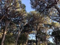 8. Tag: Abendstimmung in Roccamare &ndash; &copy; Andreas Wolfsteller (Eberhardt TRAVEL)