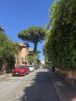 Travestere (2) &ndash; &copy; Thomas Krupp (Eberhardt TRAVEL)