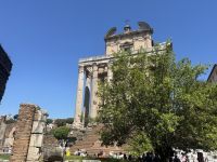 ...im Forum Romanum (4) &ndash; &copy; Thomas Krupp (Eberhardt TRAVEL)