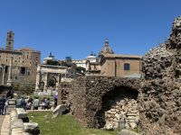 ...im Forum Romanum (6) &ndash; &copy; Thomas Krupp (Eberhardt TRAVEL)