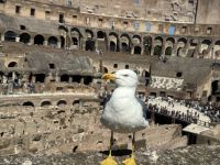 ...im Kolosseum (5) &ndash; &copy; Thomas Krupp (Eberhardt TRAVEL)