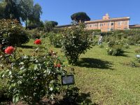 ...im Rosengarten (2) &ndash; &copy; Thomas Krupp (Eberhardt TRAVEL)