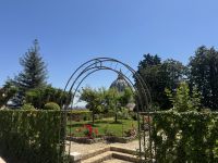 ...im Vatikanischen Garten (8) &ndash; &copy; Thomas Krupp (Eberhardt TRAVEL)