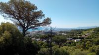 Bastia &ndash; &copy; Allina Anderer (Eberhardt TRAVEL)
