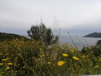 Insel Elba &ndash; &copy; Alicia Eckert (Eberhardt TRAVEL)