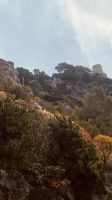 Capri - und von unten blicken wir zurück nach oben.jpeg &ndash; &copy; Kerstin Engelhardt (Eberhardt TRAVEL)