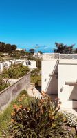 Capri - überall Strelizien.jpeg &ndash; &copy; Kerstin Engelhardt (Eberhardt TRAVEL)